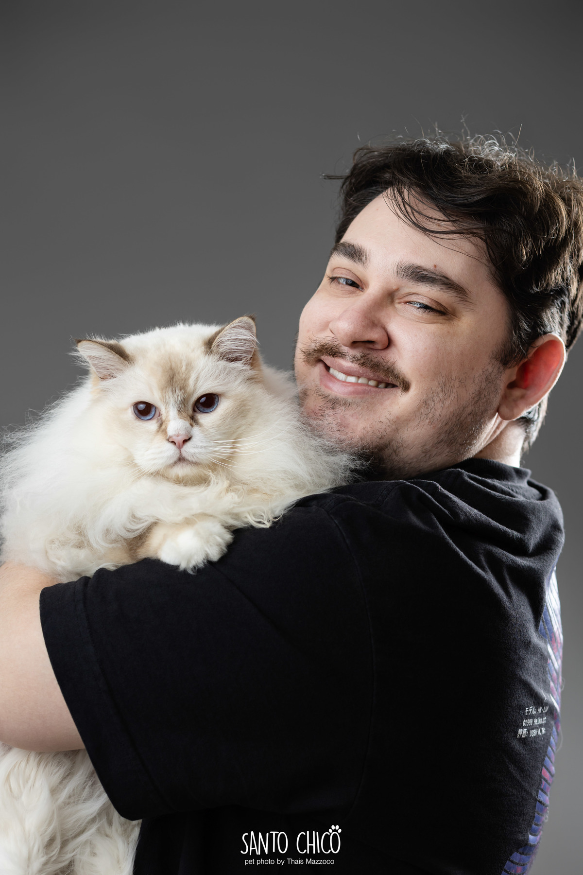 familia com pet, gatos, ragdoll, felinos, ensaio pet, estudio pet, campinas, thais mazzoco