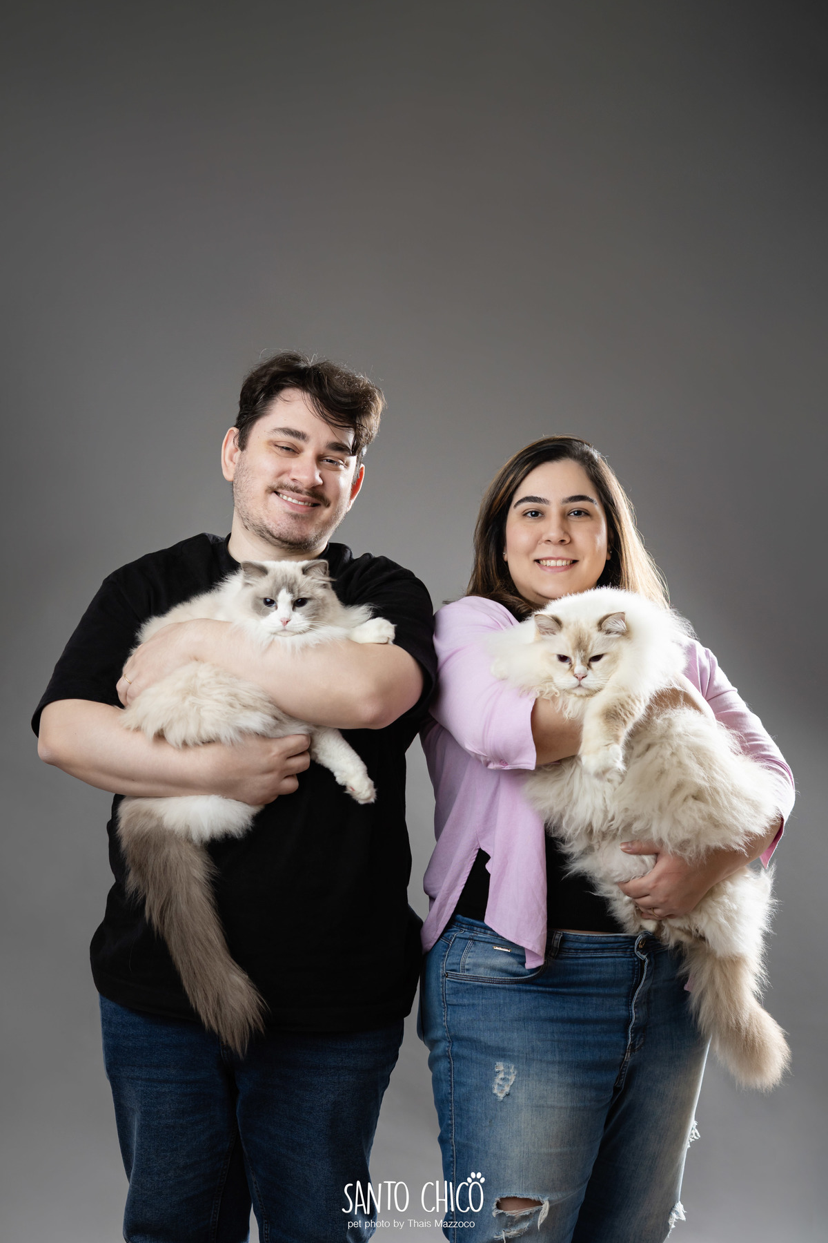 familia com pet, gatos, ragdoll, felinos, ensaio pet, estudio pet, campinas, thais mazzoco