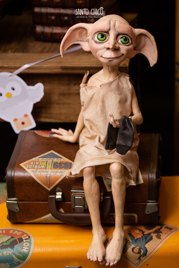 aniversario pet buddy toledo harry potter o caldeirao de mel limeira fotografia pet dia das bruxas halloween