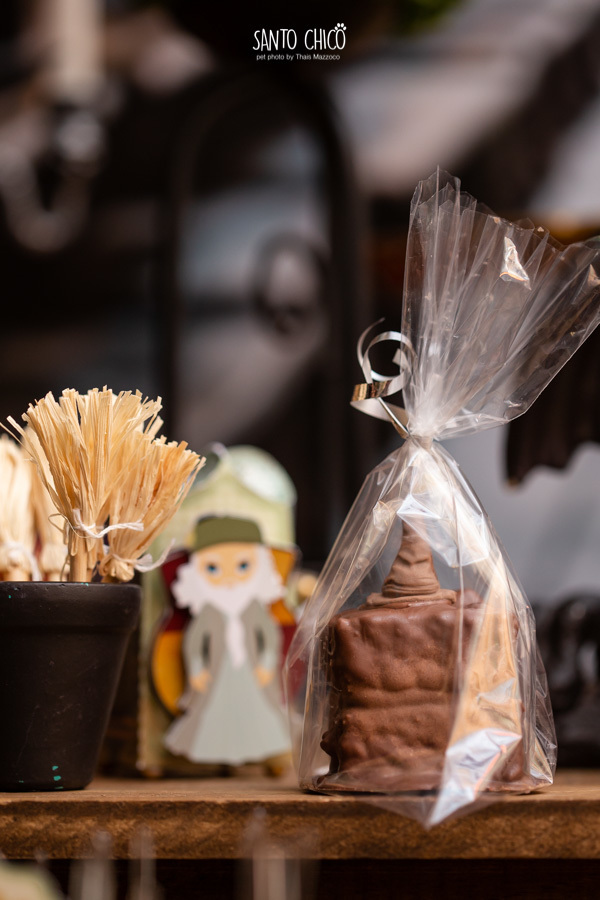 aniversario pet buddy toledo harry potter o caldeirao de mel limeira fotografia pet dia das bruxas halloween