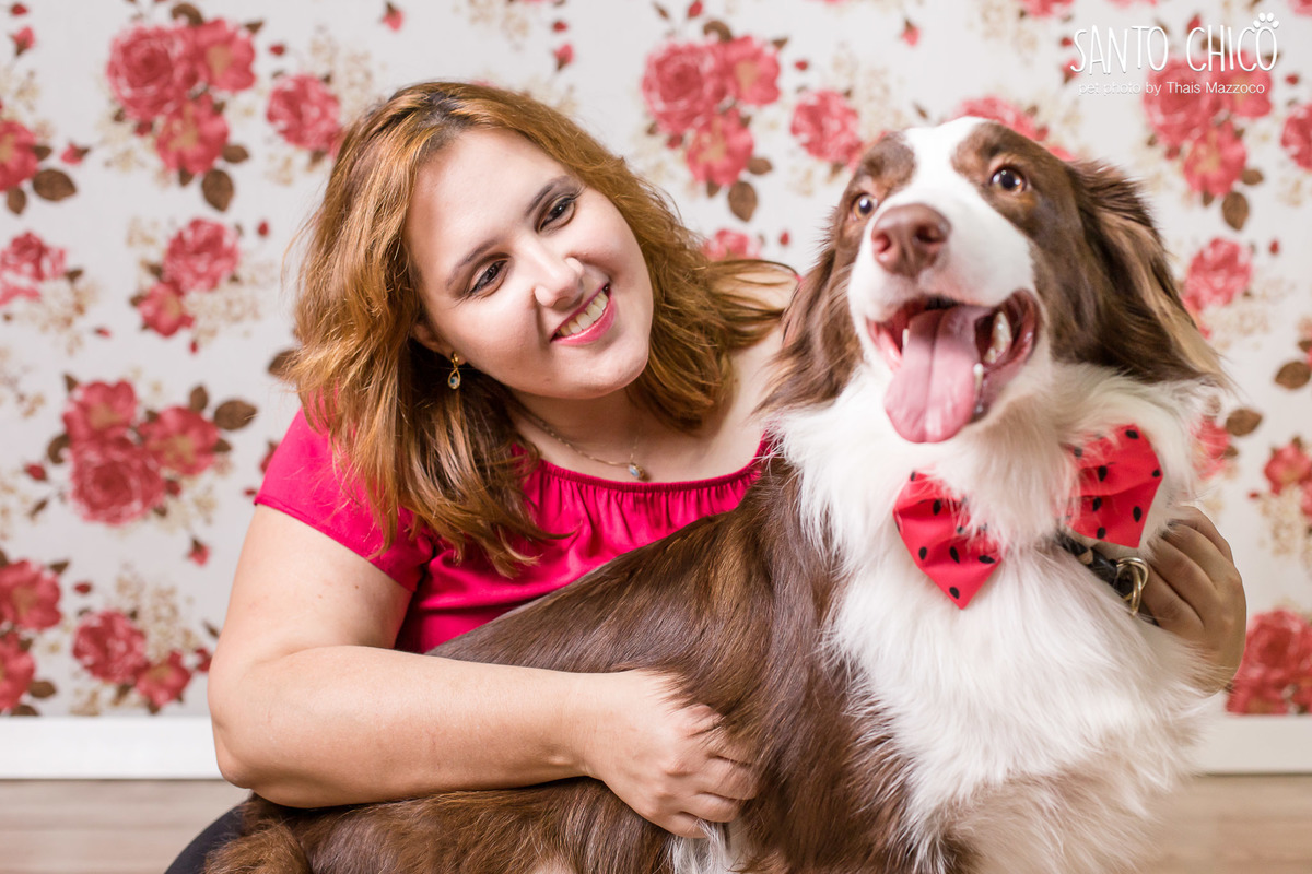 presente fotografia pet dia das mães cachorro estúdio pet gato filhote mãe fotografo pet campinas cachorro gato canil gatil criador revista cães e cia estrelas animais adestrador ensaio fotografico pet book pet estúdio pet santo chico fotografia pet