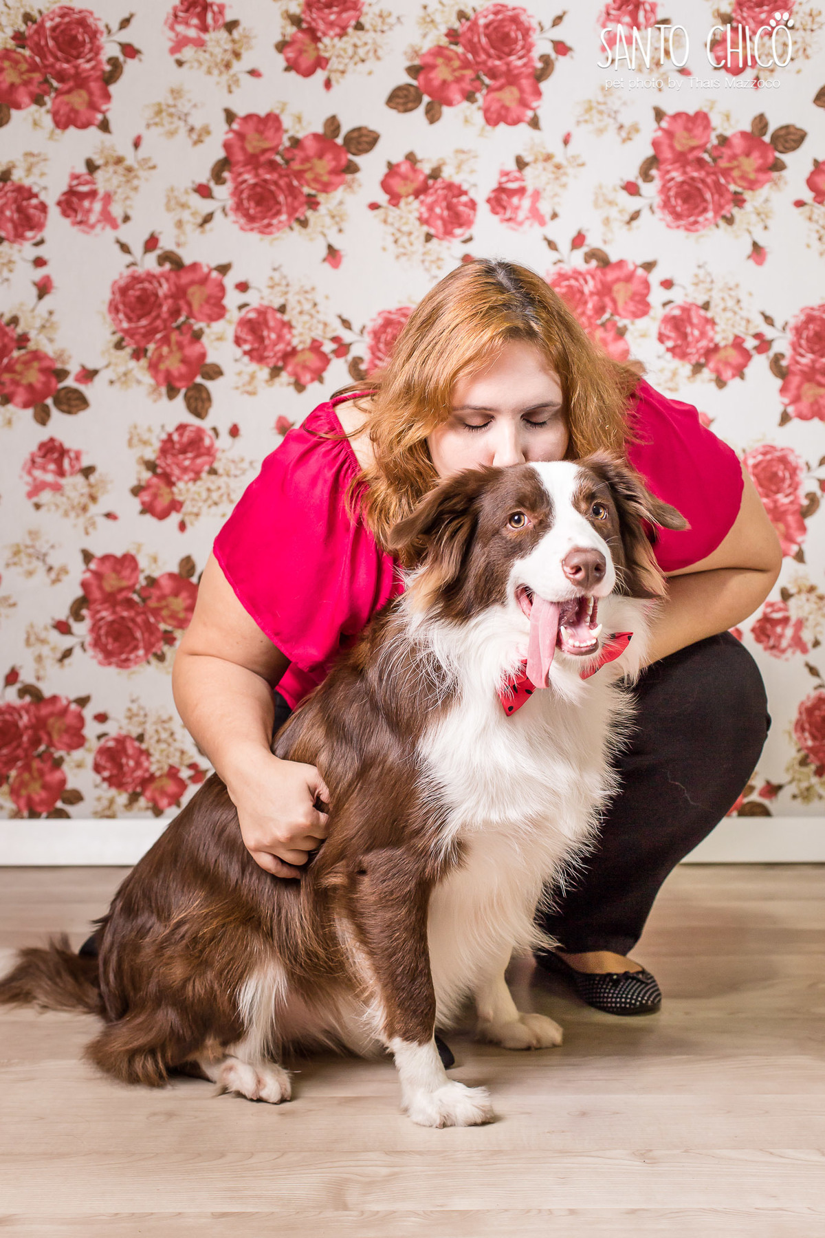 presente fotografia pet dia das mães cachorro estúdio pet gato filhote mãe fotografo pet campinas cachorro gato canil gatil criador revista cães e cia estrelas animais adestrador ensaio fotografico pet book pet estúdio pet santo chico fotografia pet