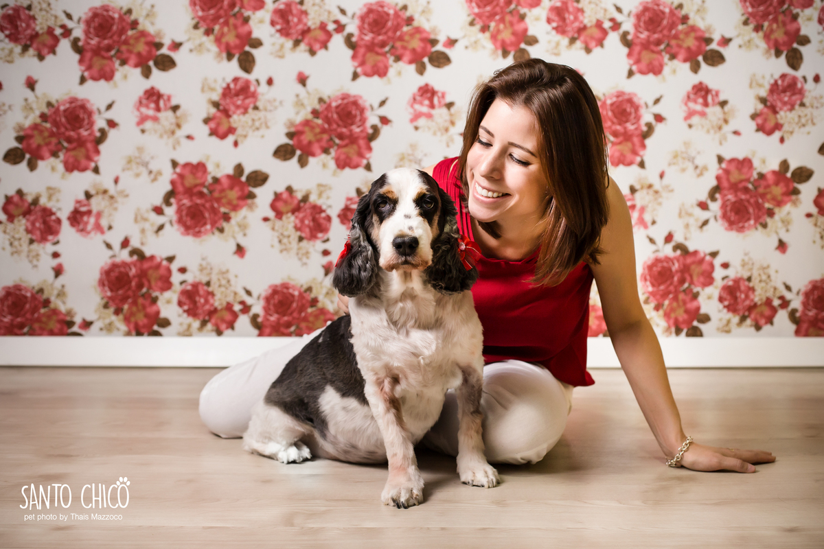 presente fotografia pet dia das mães cachorro estúdio pet gato filhote mãe fotografo pet campinas cachorro gato canil gatil criador revista cães e cia estrelas animais adestrador ensaio fotografico pet book pet estúdio pet santo chico fotografia pet
