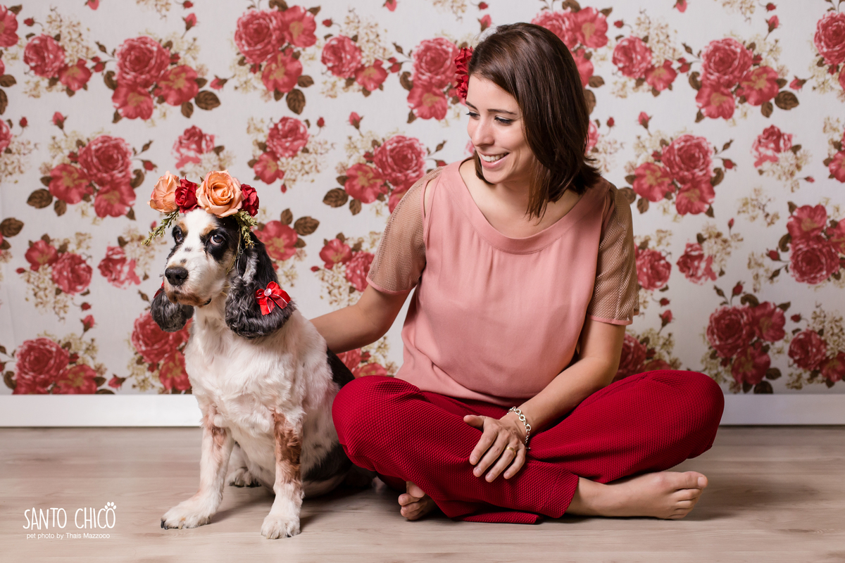 presente fotografia pet dia das mães cachorro estúdio pet gato filhote mãe fotografo pet campinas cachorro gato canil gatil criador revista cães e cia estrelas animais adestrador ensaio fotografico pet book pet estúdio pet santo chico fotografia pet