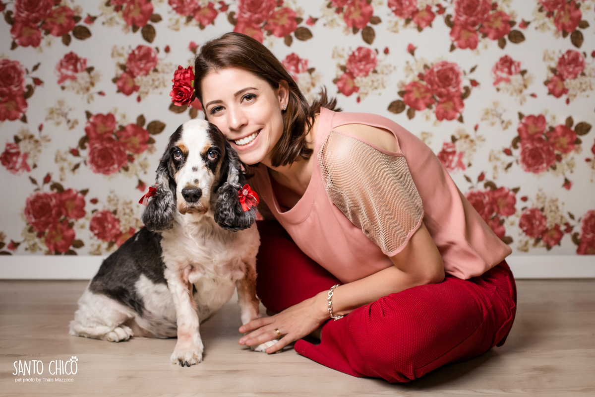 presente fotografia pet dia das mães cachorro estúdio pet gato filhote mãe fotografo pet campinas cachorro gato canil gatil criador revista cães e cia estrelas animais adestrador ensaio fotografico pet book pet estúdio pet santo chico fotografia pet