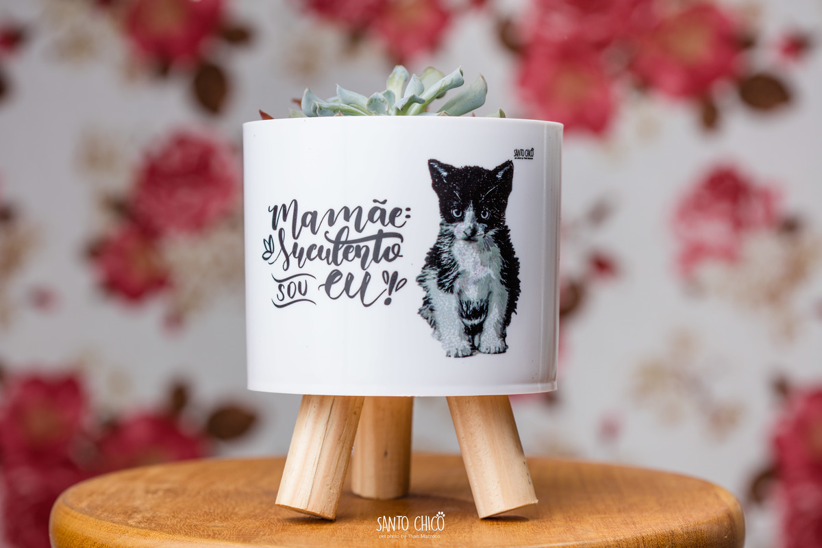 presente fotografia pet dia das mães cachorro estúdio pet gato filhote mãe fotografo pet campinas cachorro gato canil gatil criador revista cães e cia estrelas animais adestrador ensaio fotografico pet book pet estúdio pet santo chico fotografia pet