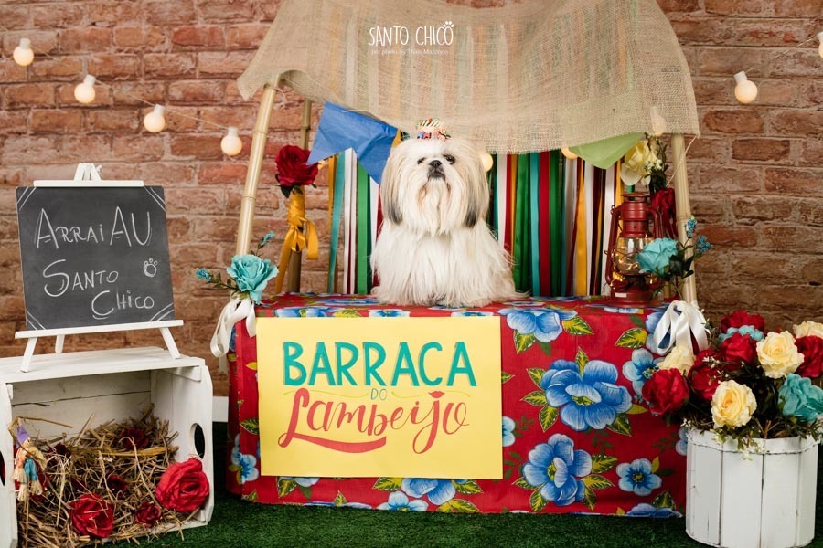 barraca-lambeijo-arraia-padaria-pet-campinas-cambui-festa-junina-santo-chico-fotografia-ensaio-cachorro