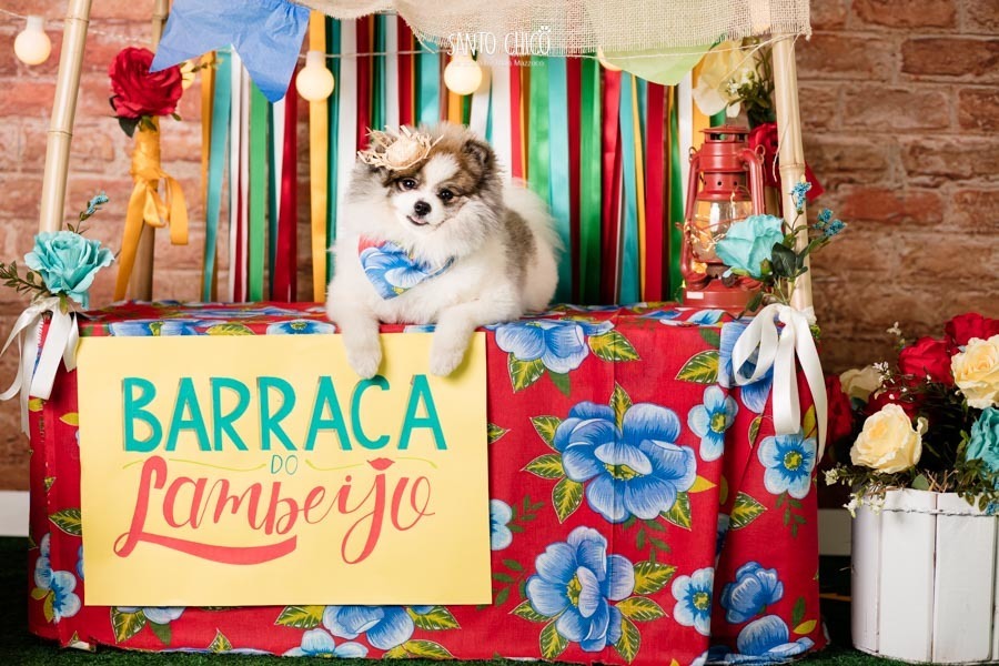 barraca-lambeijo-arraia-padaria-pet-campinas-cambui-festa-junina-santo-chico-fotografia-ensaio-cachorro