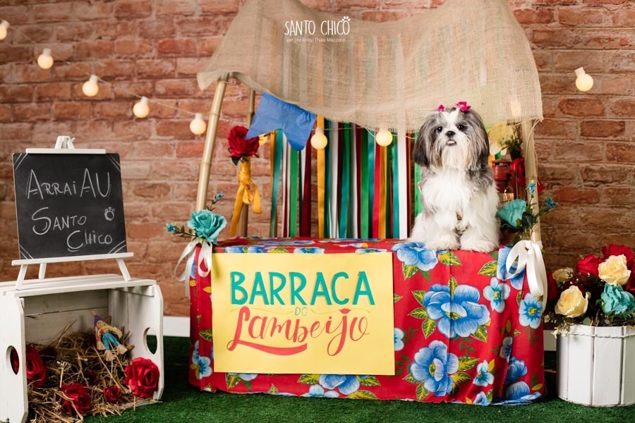 barraca-lambeijo-arraia-padaria-pet-campinas-cambui-festa-junina-santo-chico-fotografia-ensaio-cachorro