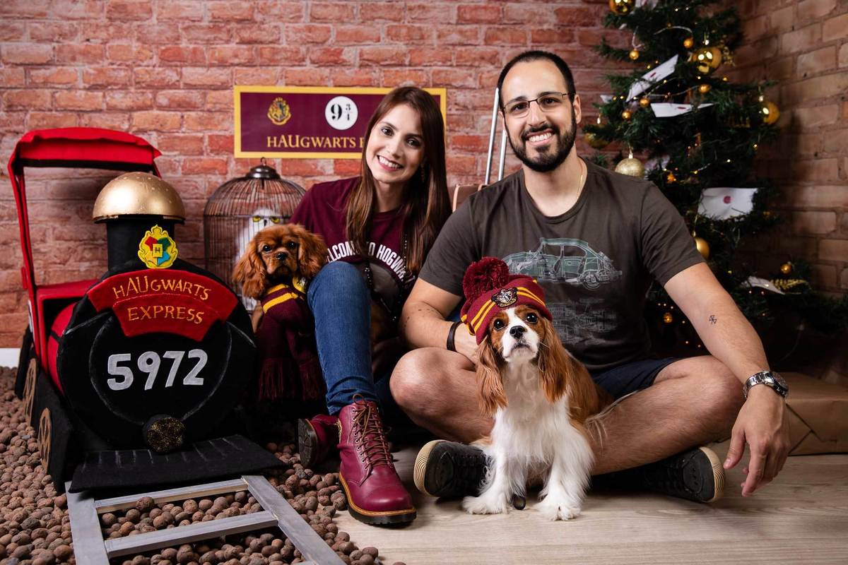 ensaio-natal-fotografia-pet-natalino-harry-potter-fotografa-estudio-campinas