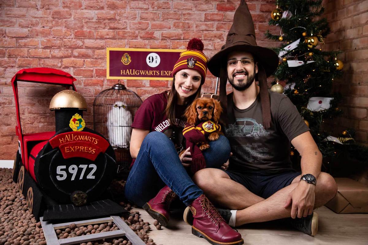 ensaio-natal-fotografia-pet-natalino-harry-potter-fotografa-estudio-campinas