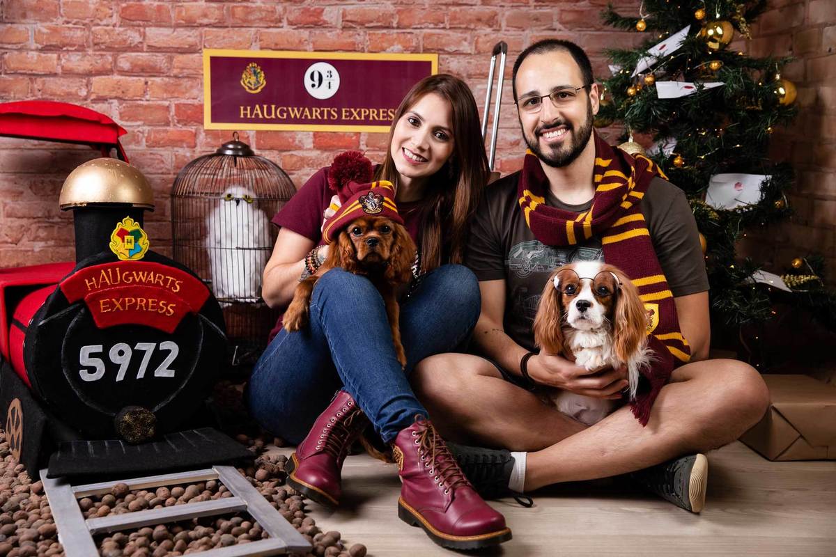 ensaio-natal-fotografia-pet-natalino-harry-potter-fotografa-estudio-campinas