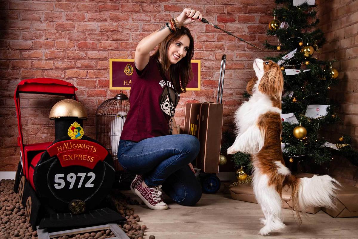 ensaio-natal-fotografia-pet-natalino-harry-potter-fotografa-estudio-campinas