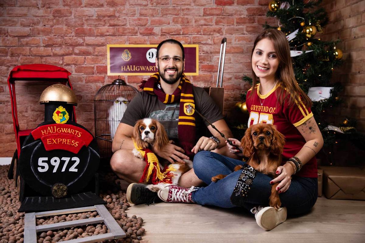 ensaio-natal-fotografia-pet-natalino-harry-potter-fotografa-estudio-campinas