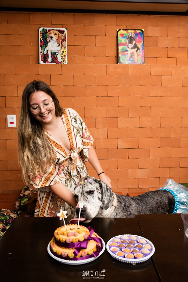 festa pet halloween dia das bruxas padaria pet cambuí campinas ensaio cruella disney santo chico fotografia pet 
