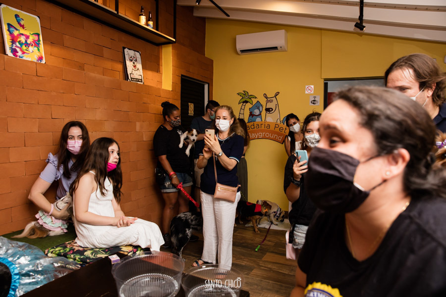 festa pet halloween dia das bruxas padaria pet cambuí campinas ensaio cruella disney santo chico fotografia pet 