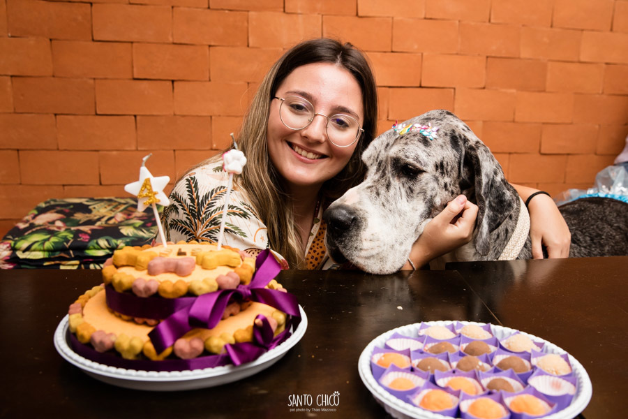 festa pet halloween dia das bruxas padaria pet cambuí campinas ensaio cruella disney santo chico fotografia pet 