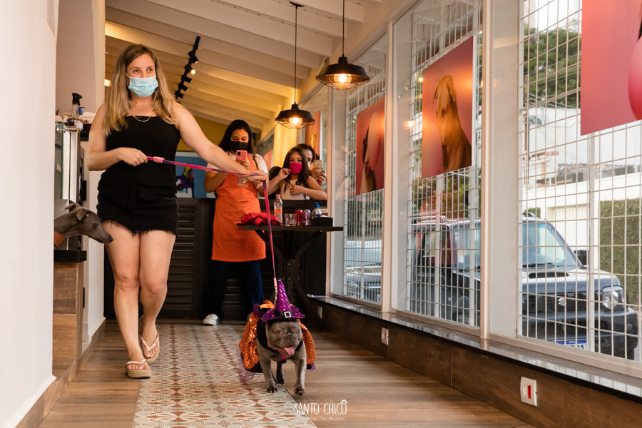 festa pet halloween dia das bruxas padaria pet cambuí campinas ensaio cruella disney santo chico fotografia pet 