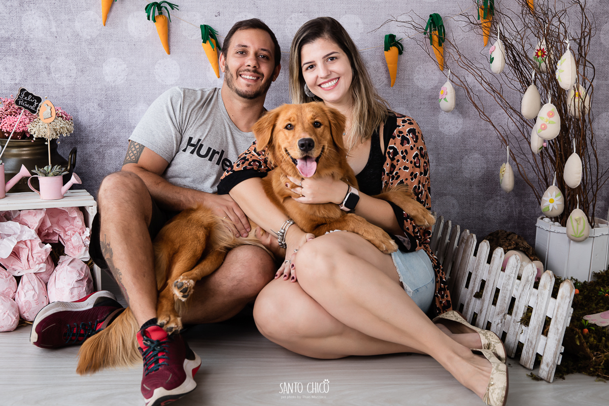 ensaio-tematico-fotografia-pet-cenario-pascoa-cachorro-coelho