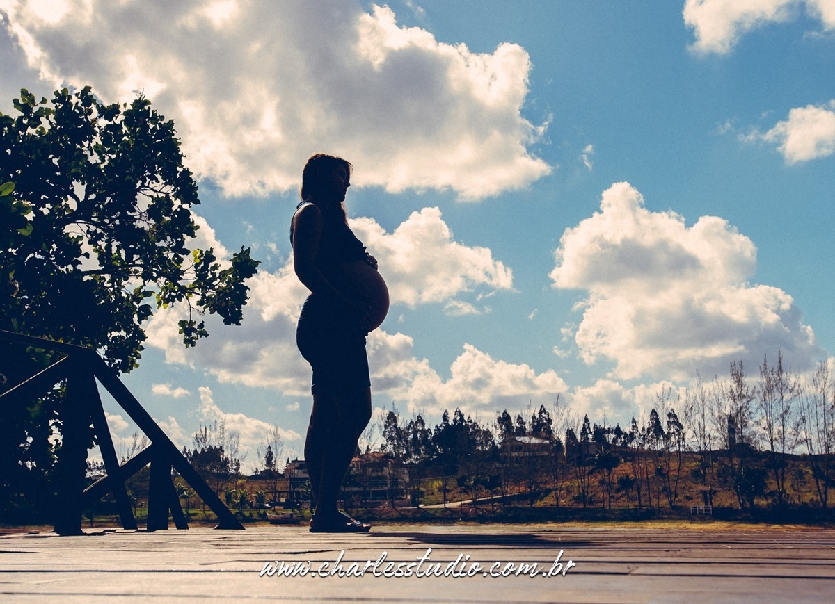 gestante-pregnant-ellenlucasmatheusgabriel-ensaio-campo-haras