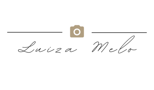 Logotipo de anna luiza de melo