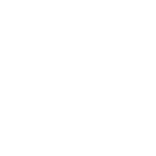 Logotipo de DIEGO O' NEILL