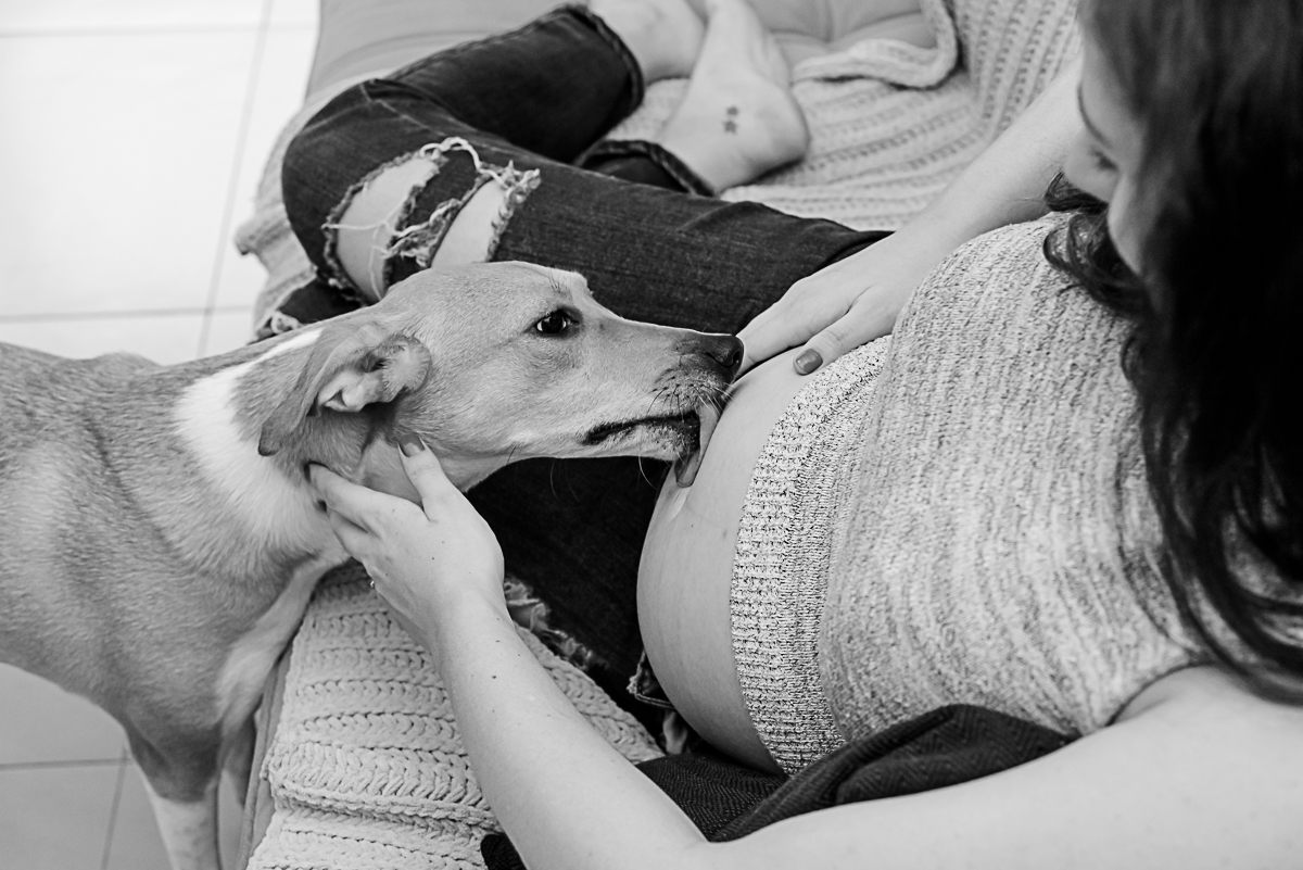 ensaio em casa, fotografia de gestante, fotografia de gestante rj, ensaio gestante, ensaio gestante rj, ensaio gestante com cachorro, foto de gestante, ensaio fotográfico gestante, ensaio gestante com pet, Tati Barros Fotografia