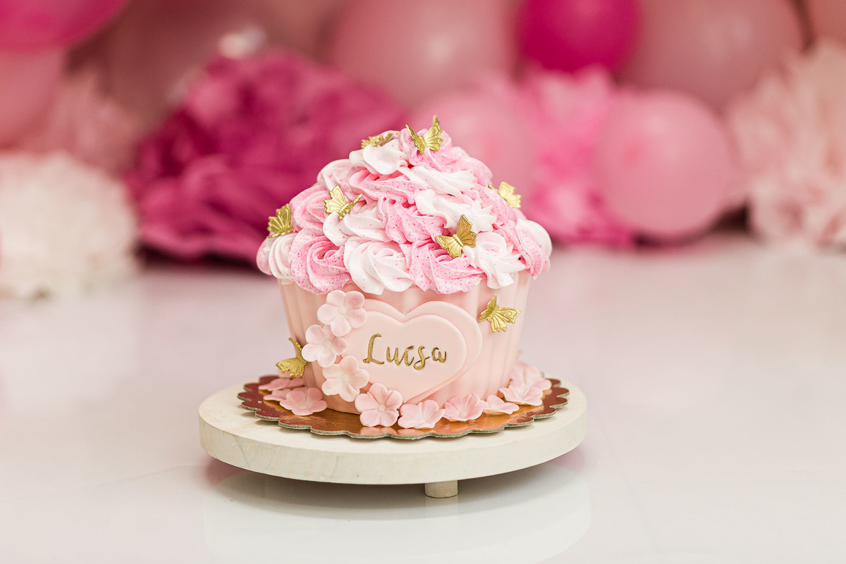 smash the cake estúdio wewfotografia são paulo vila mascote zona sul