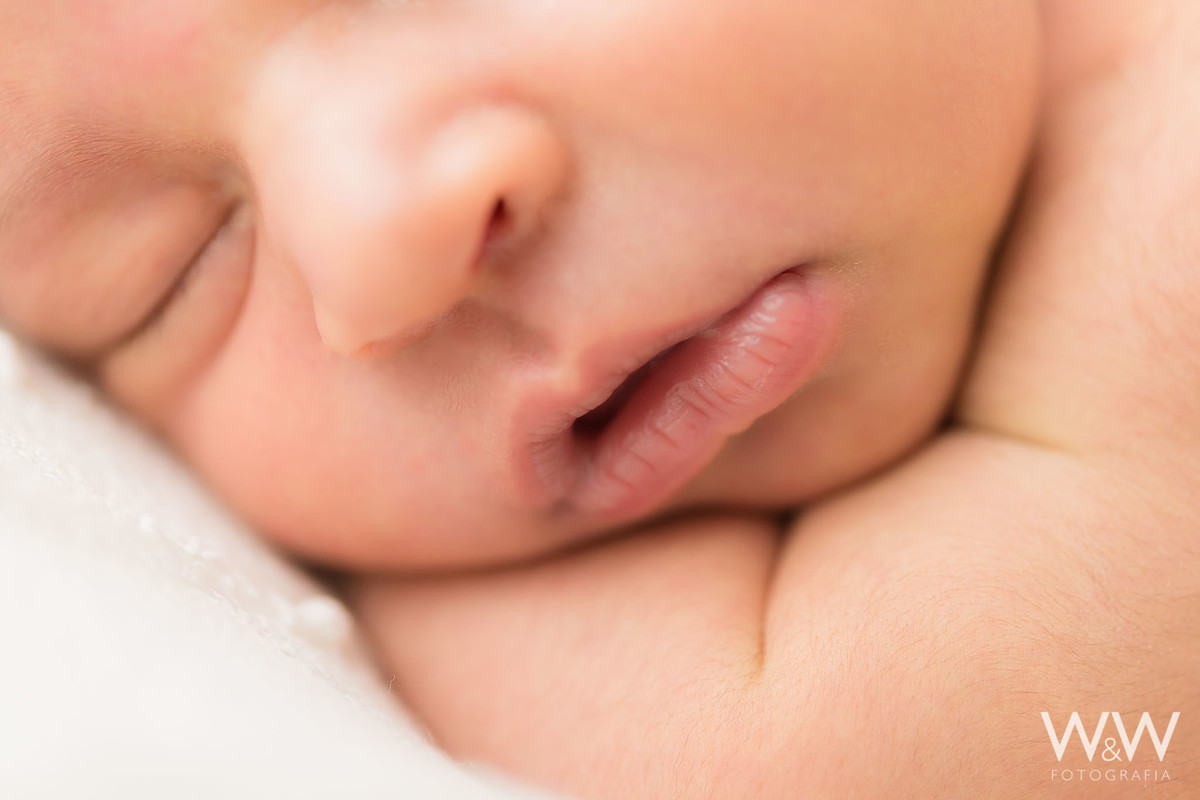 ensaio newborn são paulo menina wewfoto