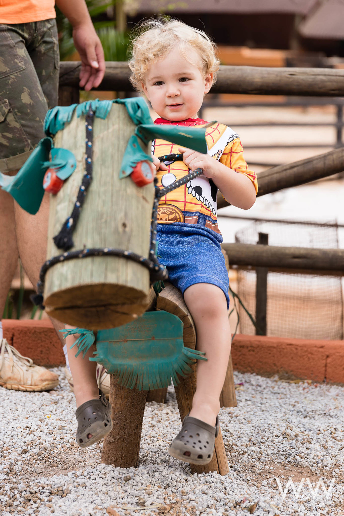 festa aniversário fazendinha animais são paulo wewfotografia