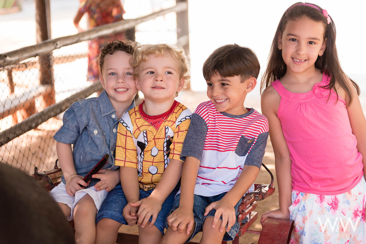 festa aniversário fazendinha animais são paulo wewfotografia