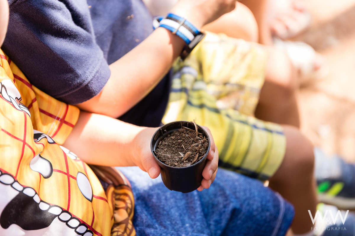 festa aniversário fazendinha plantar são paulo wewfotografia