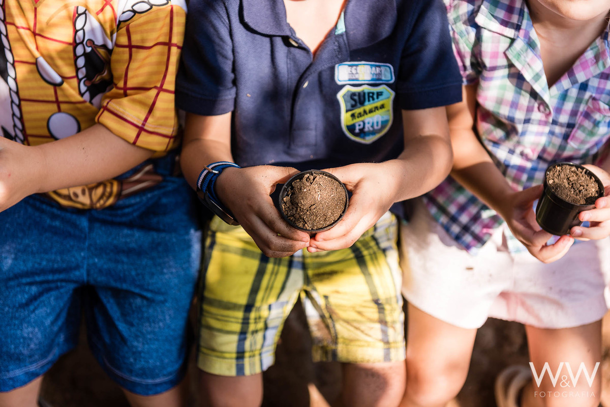 festa aniversário fazendinha plantar são paulo wewfotografia