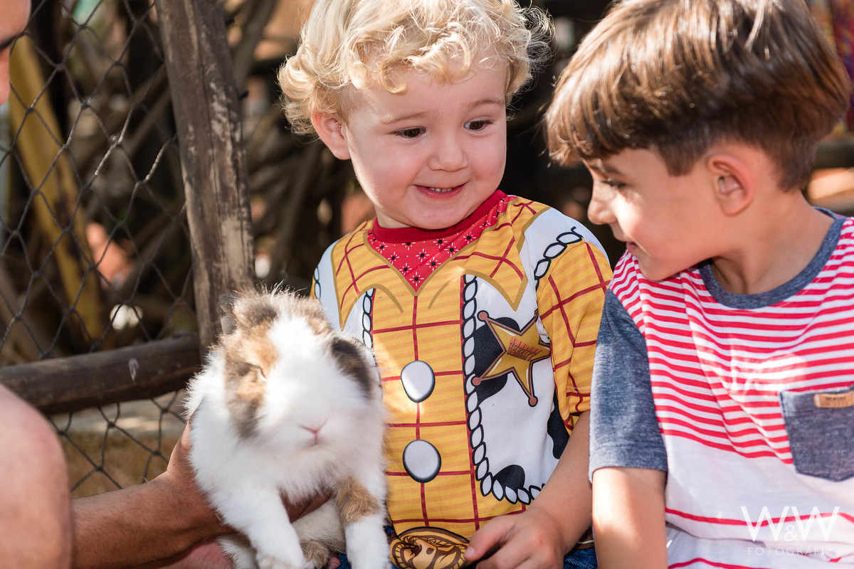 festa aniversário fazendinha animais são paulo wewfotografia