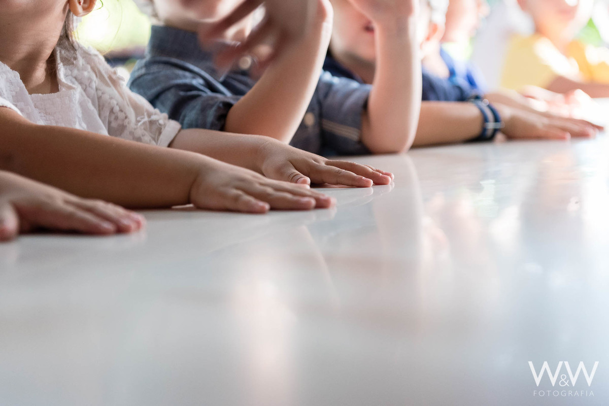 festa aniversário fazendinha fazer pão são paulo wewfotografia