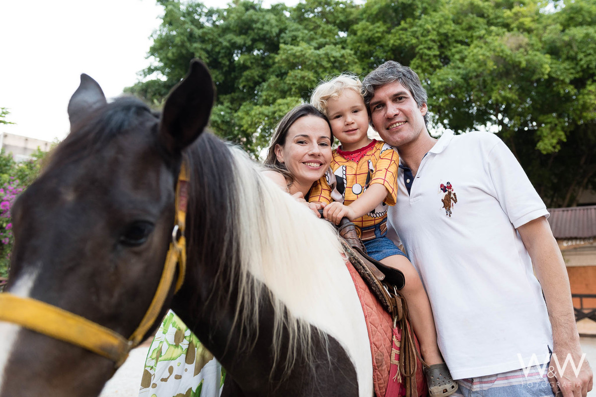 festa aniversário fazendinha animais são paulo wewfotografia