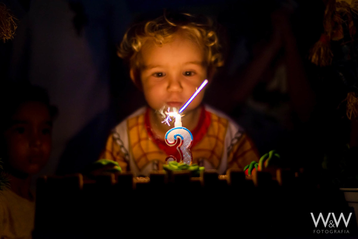 festa aniversário fazendinha animais são paulo wewfotografia