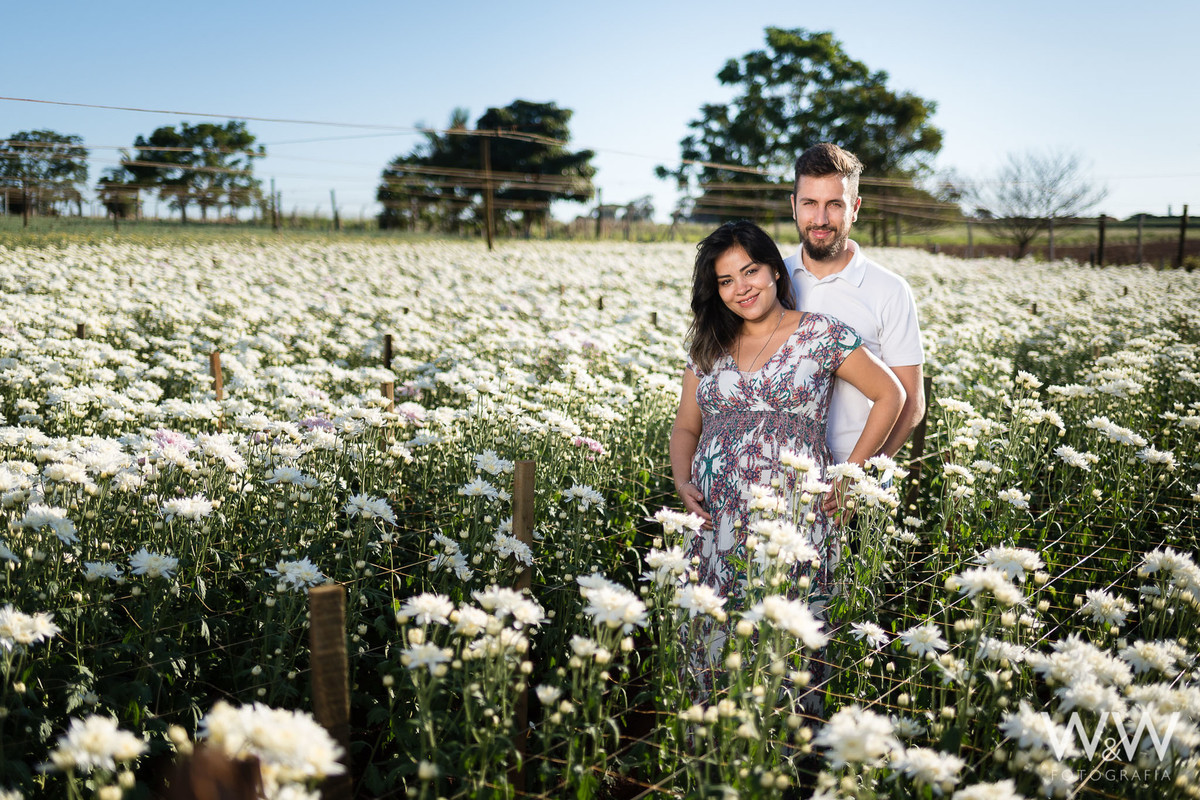 ensaio gestante holambra aline
