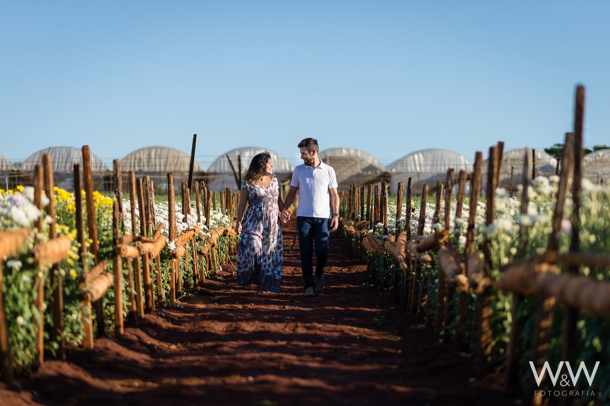 ensaio gestante holambra aline