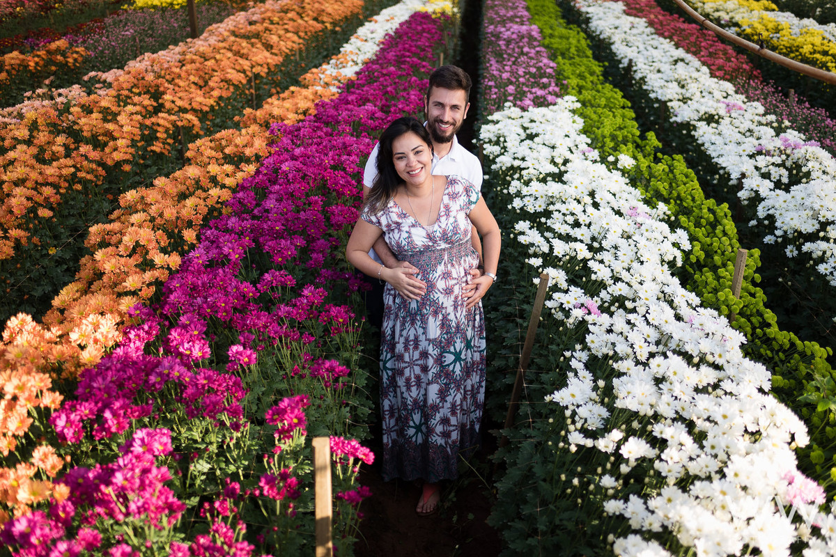 ensaio gestante holambra aline