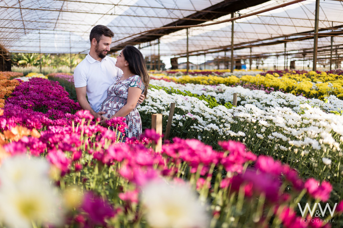 ensaio gestante holambra aline