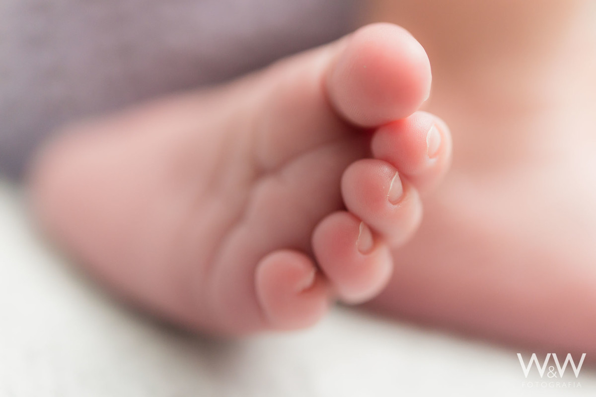 newborn menina são paulo wewfotografia
