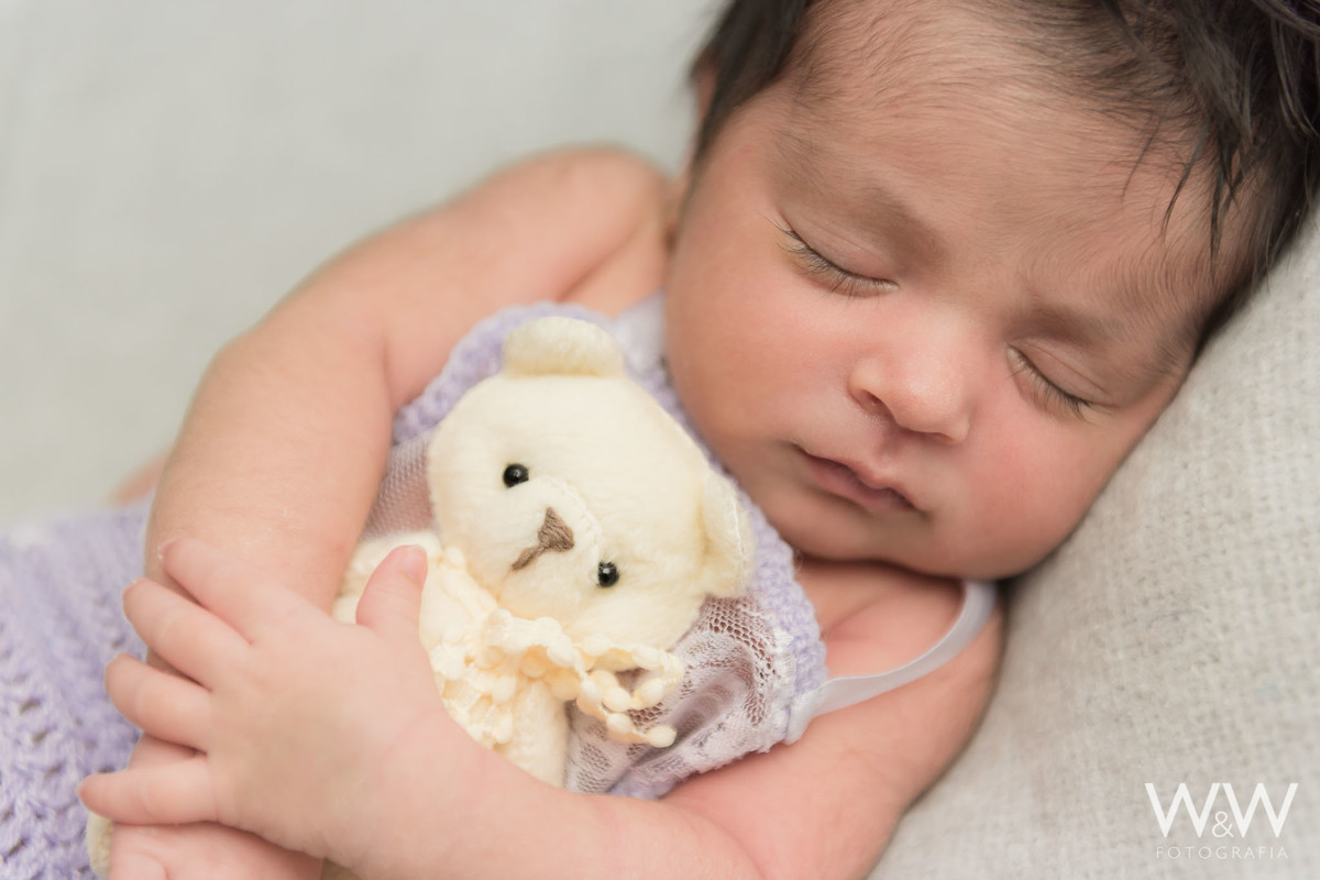newborn lilás menina são paulo wewfotografia