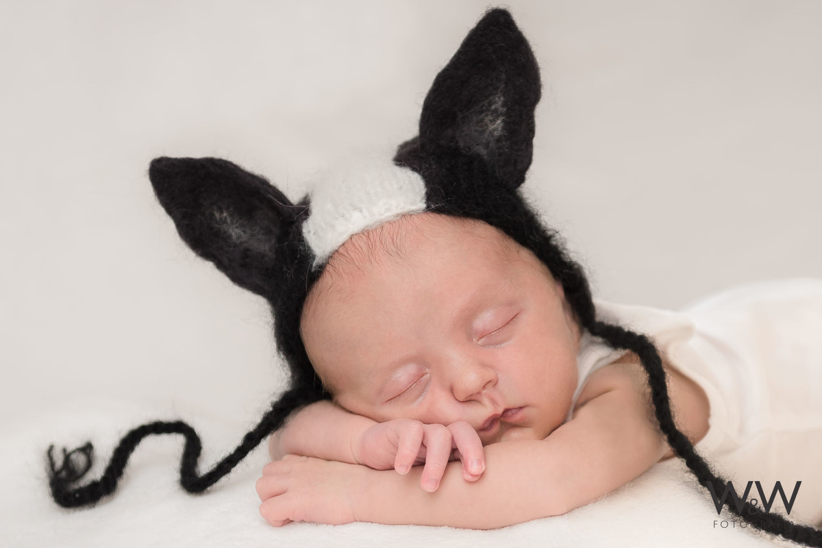 ensaio newborn igor são paulo estudio wewfotografia