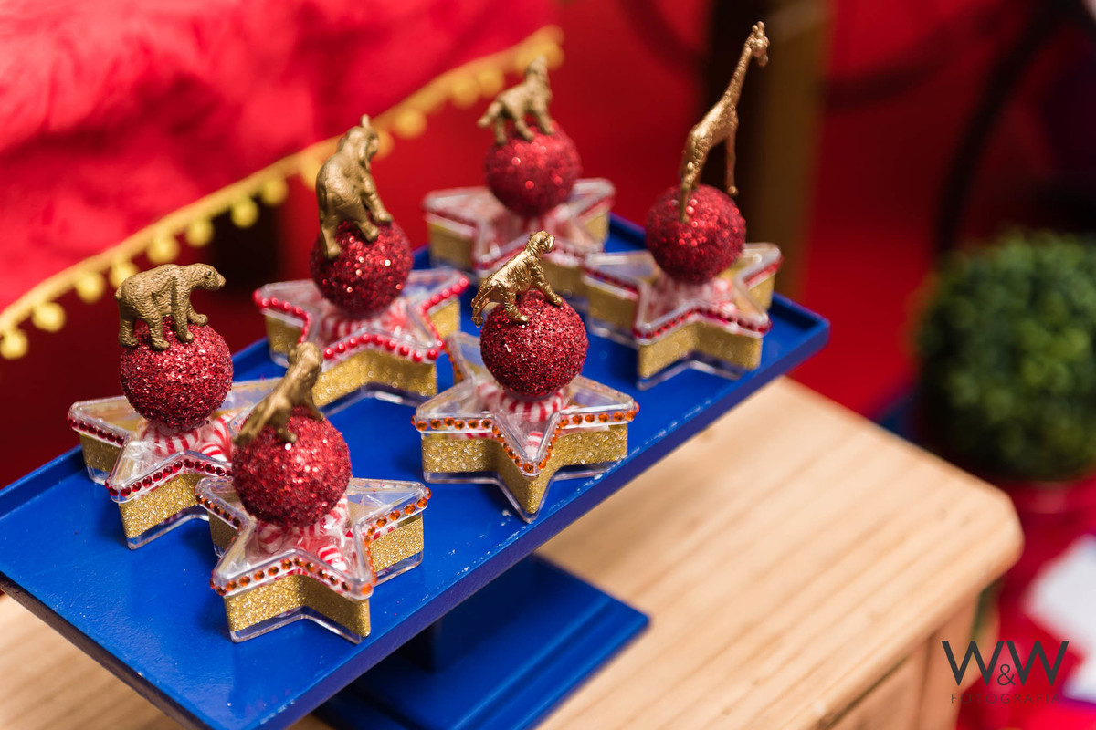 anivers&aacute;rio circo mateo 1 ano s&atilde;o paulo quinthal presen&ccedil;a wewfoto