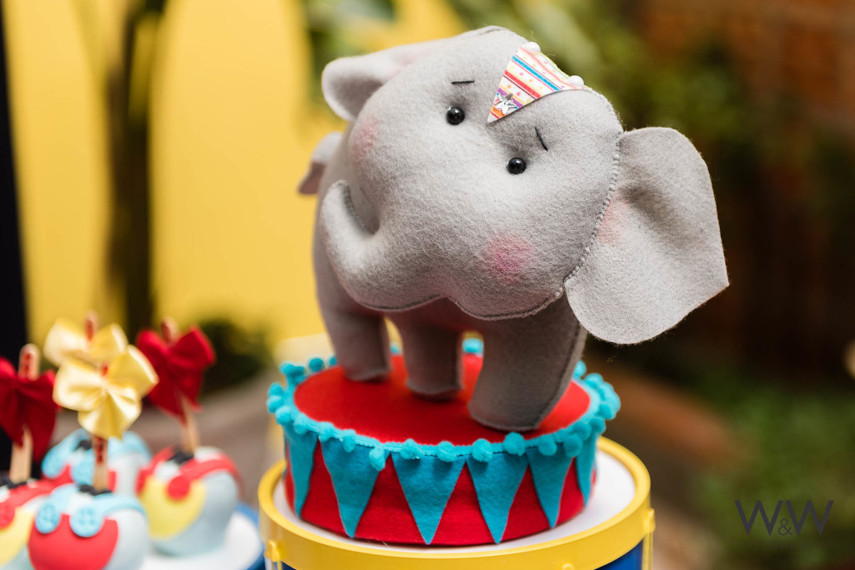 anivers&aacute;rio circo mateo 1 ano s&atilde;o paulo quinthal presen&ccedil;a wewfoto