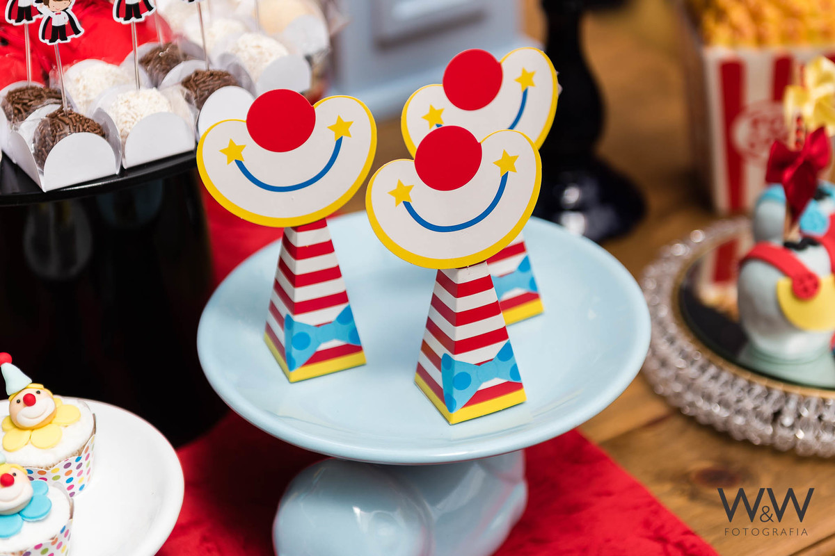 anivers&aacute;rio circo mateo 1 ano s&atilde;o paulo quinthal presen&ccedil;a wewfoto