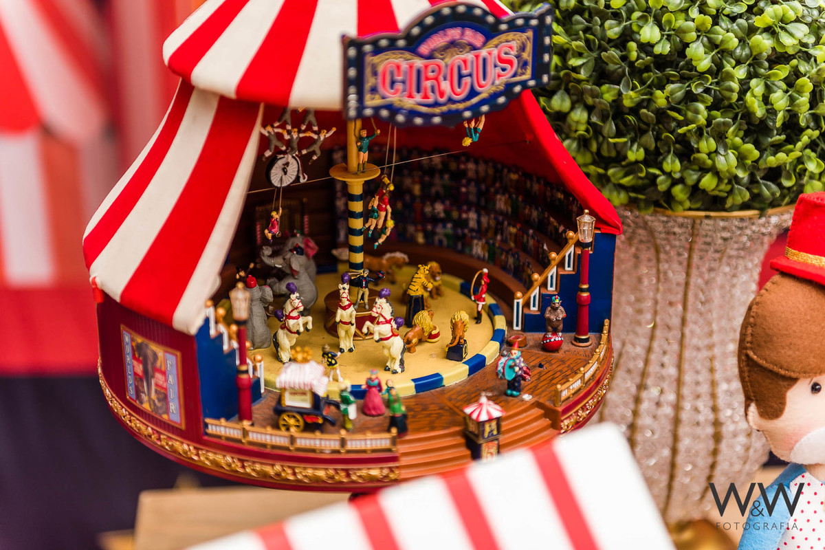 anivers&aacute;rio circo mateo 1 ano s&atilde;o paulo quinthal presen&ccedil;a wewfoto