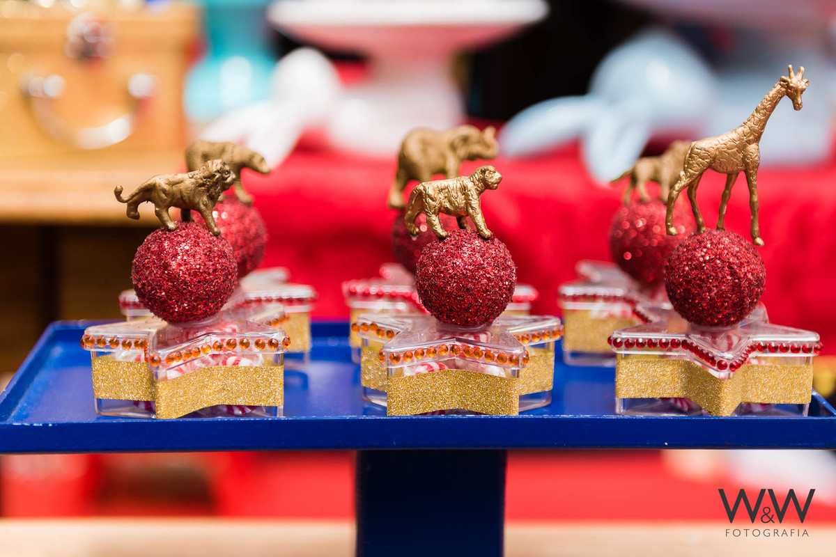 anivers&aacute;rio circo mateo 1 ano s&atilde;o paulo quinthal presen&ccedil;a wewfoto