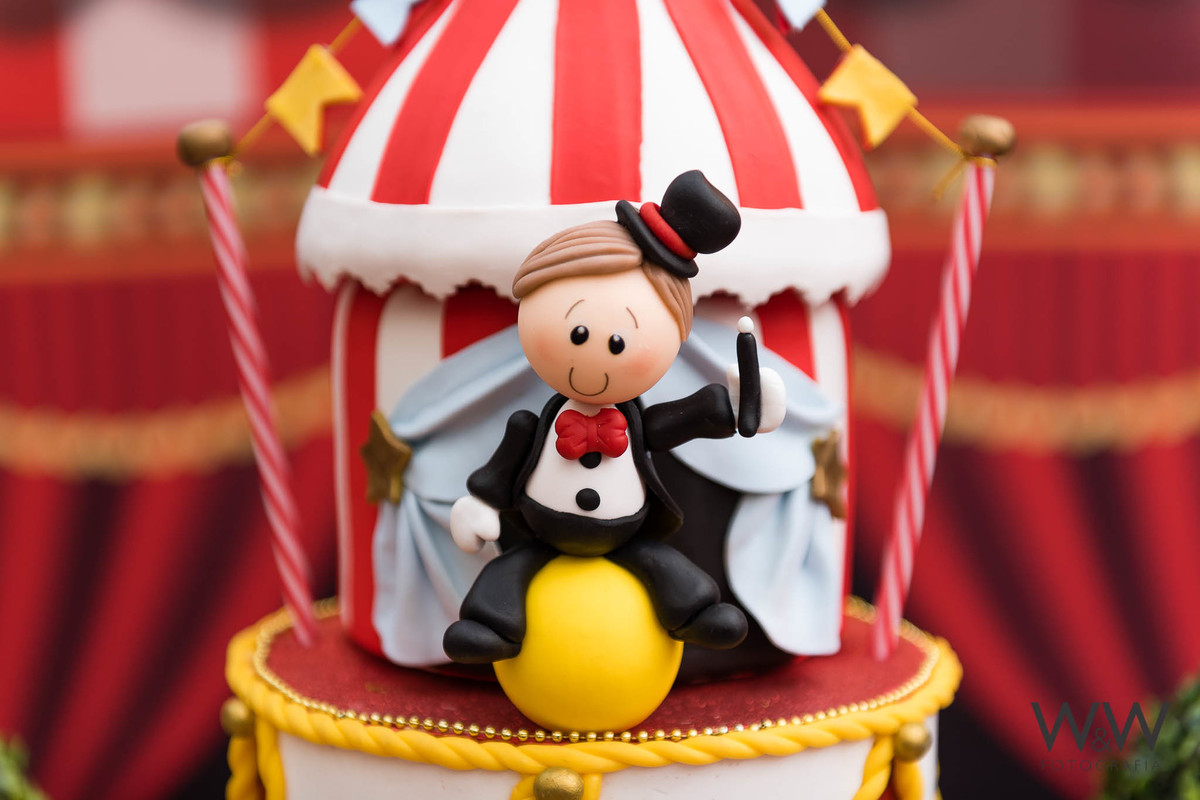 anivers&aacute;rio circo mateo 1 ano s&atilde;o paulo quinthal presen&ccedil;a wewfoto